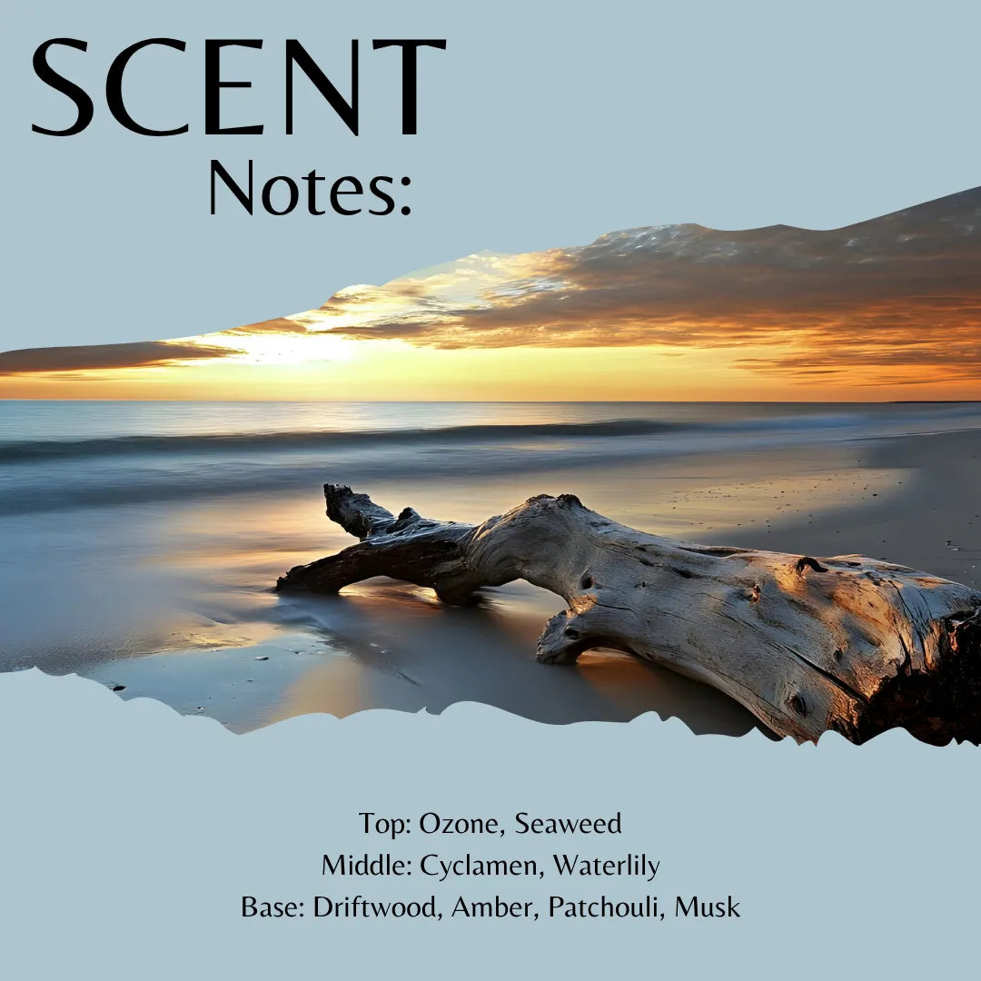 Scent Notes: fragrance label graphic featuring a beach sunset scene with driftwood on the shore, with text listing top, middle, and base notes including ozone, seaweed, cyclamen, waterlily, driftwood, amber, patchouli, and musk.