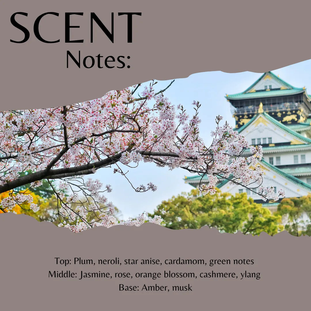Scent notes graphic with a torn-paper style photo of cherry blossoms and a Japanese castle, plus text listing fragrance notes: top notes include plum, neroli, star anise, cardamom, and green notes; middle notes include jasmine, rose, orange blossom, cashmere, ylang; base note is amber and musk.