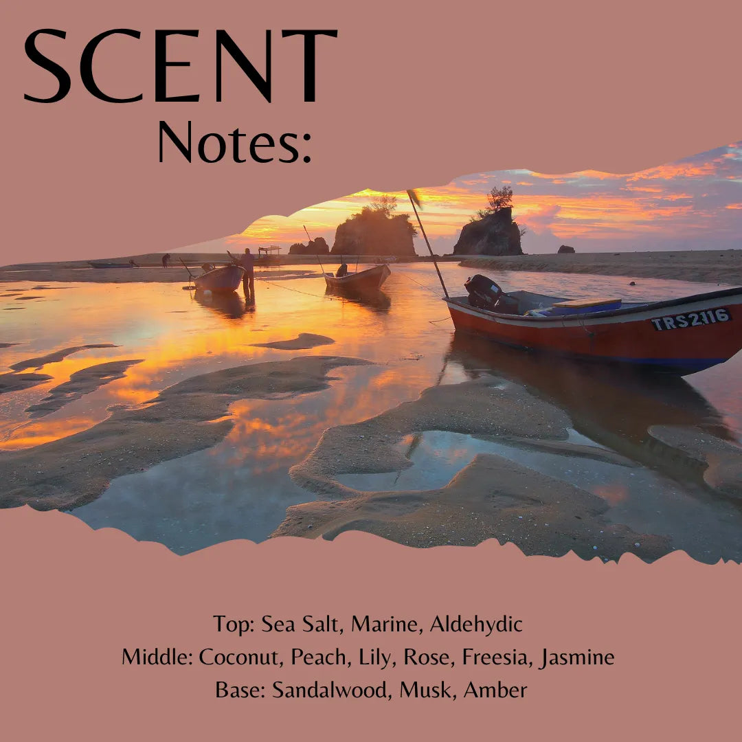 Scent Notes: fragrance label or cover art featuring a beach shoreline at sunset with small boats and reflective water, overlaid with text listing scent notes including sea salt, marine, coconut, peach, lily, rose, freesia, jasmine, sandalwood, musk, and amber.