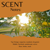 Amber & Citrus Fragrance Oil