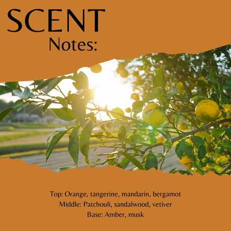 Scent profile graphic with the title 'SCENT Notes:' on an orange background, showing a photo of citrus branches with lemons and green leaves backlit by the sun, plus scent notes listed at the bottom.