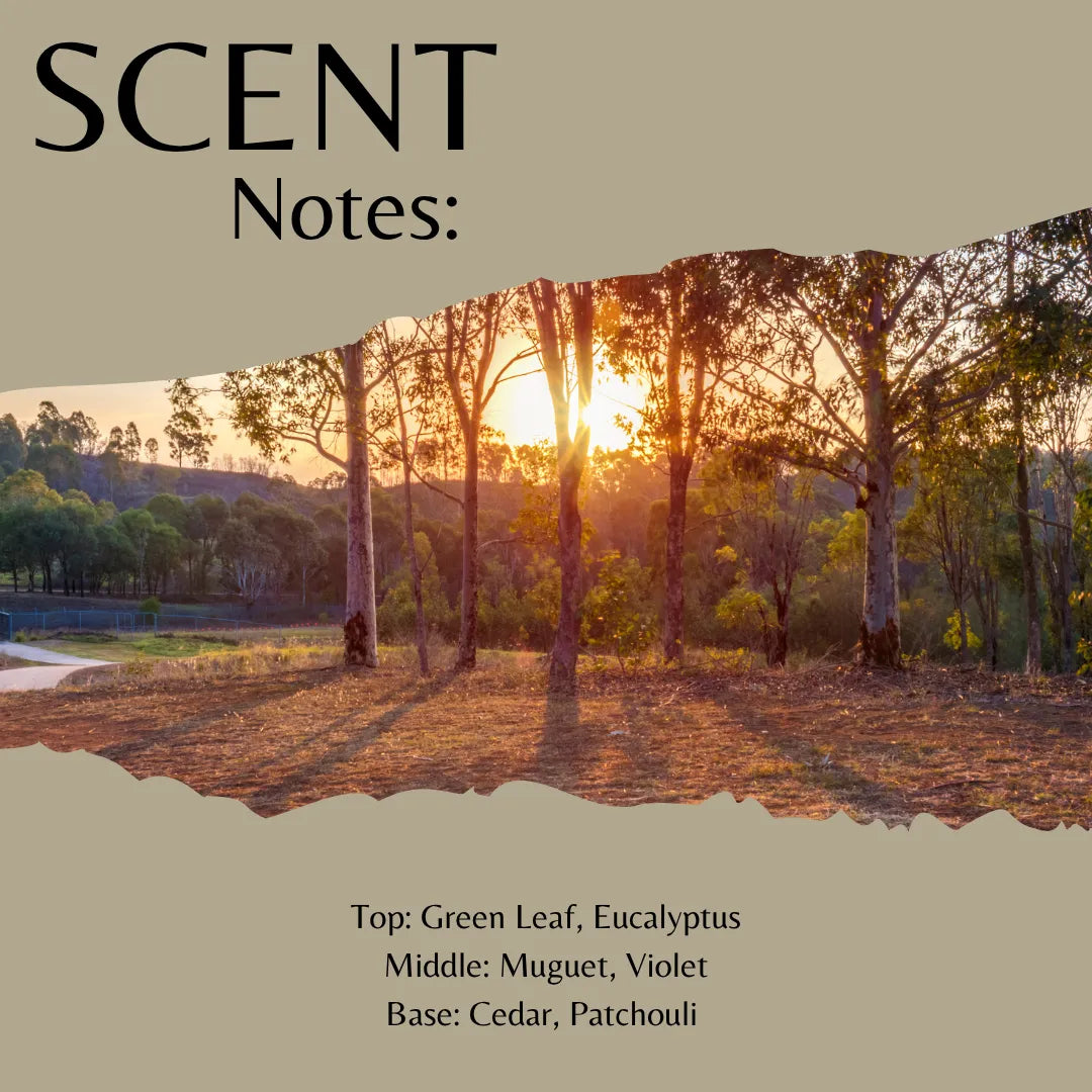 Scent Notes: fragrance profile graphic with a torn-paper style photo of trees at sunset over a beige background and listed notes: Green Leaf, Eucalyptus, Muguet, Violet, Cedar, Patchouli.