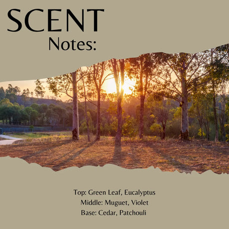 Scent Notes: fragrance profile graphic with a torn-paper style photo of trees at sunset over a beige background and listed notes: Green Leaf, Eucalyptus, Muguet, Violet, Cedar, Patchouli.