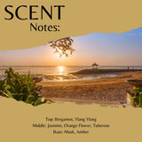 A square scent note graphic with a beach sunset photo layered over a tan background. Large text at top reads 'SCENT Notes:' and smaller text at bottom lists fragrance notes: Bergamot, Ylang Ylang; Jasmine, Orange Flower, Tuberose; Musk, Amber.