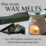 Instructional graphic titled 'How to use: WAX MELTS' showing a white wax warmer with a lit tealight candle, a black tin of wax melts, and a teal wax piece, with text explaining fragrance oil loading for deep aroma.