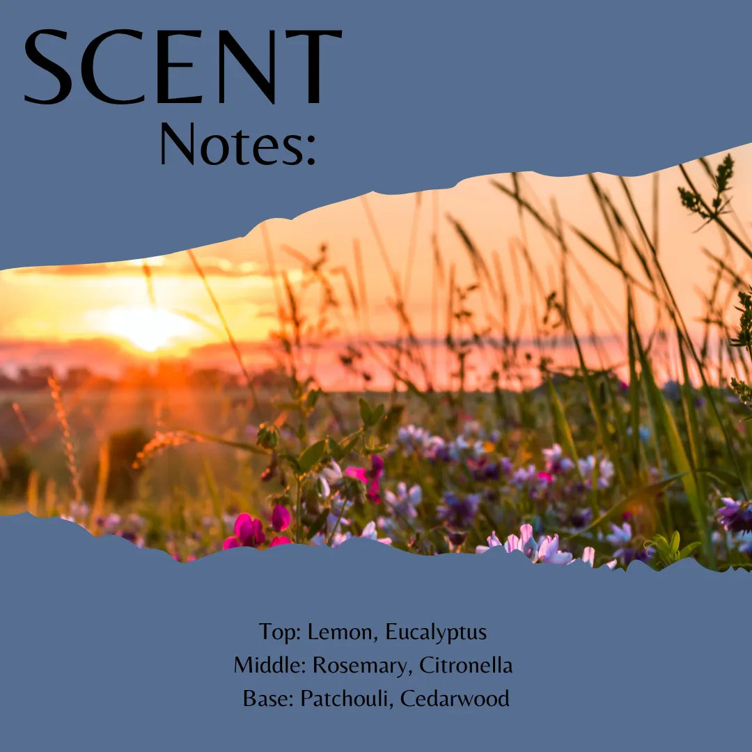 Scent notes graphic with a torn-paper style photo of a sunlit wildflower meadow. Large text at top reads 'SCENT Notes:' and smaller text at bottom lists top and middle/base notes: Lemon, Eucalyptus, Rosemary, Citronella, Patchouli, and Cedarwood.