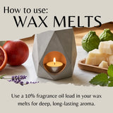 A geometric gray candle holder with a lit tea light candle, surrounded by citrus slices, lavender sprigs, green limes, and wax melts on a wooden tray. Text at the top reads 'How to use: WAX MELTS' and text at the bottom explains using fragrance oil load in wax melts for deep, long-lasting aroma.