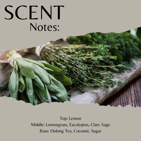 Scent profile graphic for a citrus-sage fragrance, featuring a photo of fresh herb bundles including lemon, thyme, and clary sage on a rustic wooden board. The top reads 'SCENT Notes:' and the bottom lists the fragrance notes: Top: Lemon, Middle: Lemongrass, Eucalyptus, Clary Sage, Base: Oolong Tea, Coconut, Sugar.
