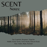 Scent Notes: forest album cover with a misty forest scene torn across a muted gray-green background, with text listing scent notes including grapefruit, bergamot, tangerine, ozonic scents, velvet woods, delicate florals, amber, musk, and patchouli.