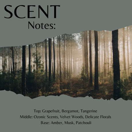 Scent Notes: forest album cover with a misty forest scene torn across a muted gray-green background, with text listing scent notes including grapefruit, bergamot, tangerine, ozonic scents, velvet woods, delicate florals, amber, musk, and patchouli.