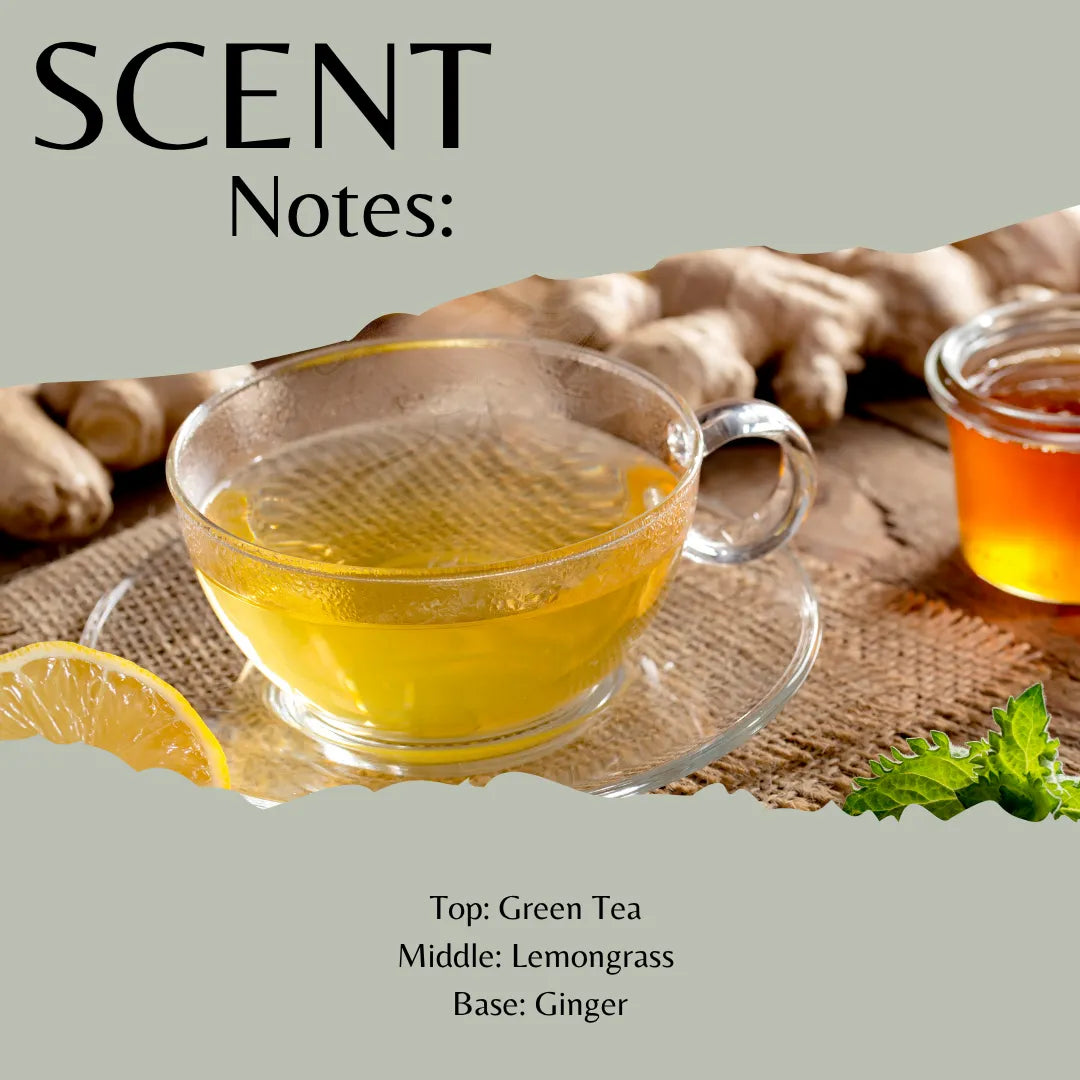 A scent profile graphic showing a clear glass cup of green tea on a saucer, with ginger roots, a lemon slice, and mint leaves around it. The top reads 'SCENT Notes:' and the bottom lists fragrance notes: 'Top: Green Tea, Middle: Lemongrass, Base: Ginger'.