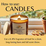A lit amber glass candle jar labeled 'GOOD MORNING WORLD bright citrus ritual' sits on a windowsill with text overlays explaining candle use. A wooden lid rests beside the jar, with dried orange slices, herbs, and a potted plant in the background.