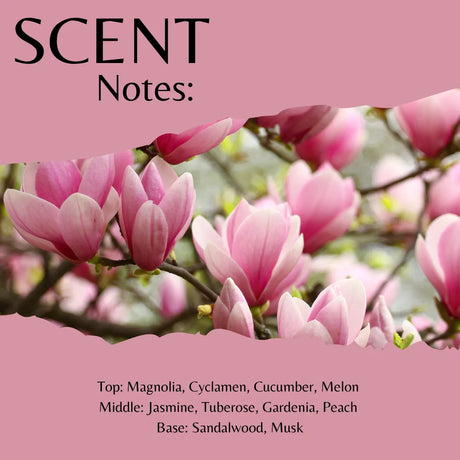 Scent profile graphic for a fragrance with a pink background and torn-paper style photo of pink magnolia blossoms. Text reads 'SCENT Notes:' and lists top, middle, and base notes including magnolia, cyclamen, cucumber, melon, jasmine, tuberose, gardenia, peach, sandalwood, and musk.