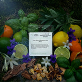 Lime, Basil & Mandarin Wax Melt Sample