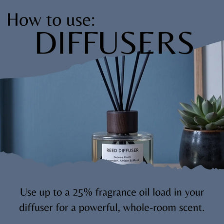 A product infographic showing a reed diffuser bottle with black reed sticks, overlaid with the text 'How to use: DIFFUSERS' and usage instructions. The diffuser is set against a blue background with a small potted succulent on the right.