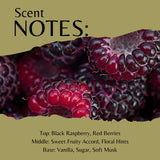 Melt Making Kit - Black Raspberry & Vanilla