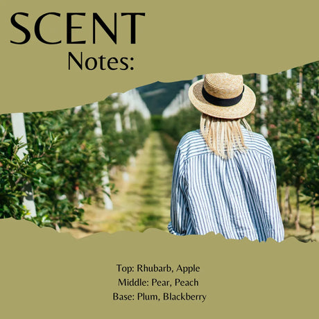 Scent Notes graphic featuring a woman in a straw hat and blue-and-white striped shirt standing in an orchard, with olive-green text panels and scent profile text listing rhubarb, apple, pear, peach, plum, and blackberry.