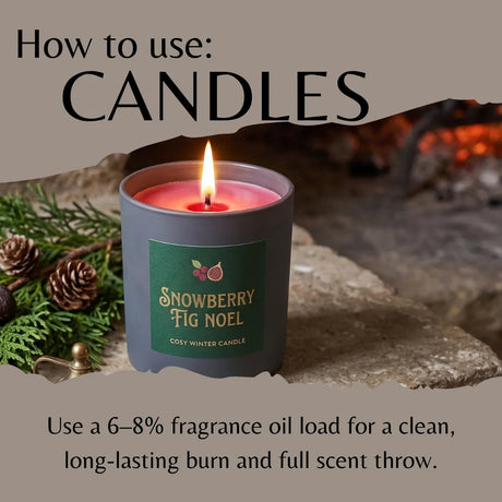 A lit gray candle jar labeled 'Snowberry Fig Noel' with a green front label, shown in a styled holiday scene with pine branches, pinecones, and a warm fireplace. Large text reads 'How to use: CANDLES' and additional usage instructions below.
